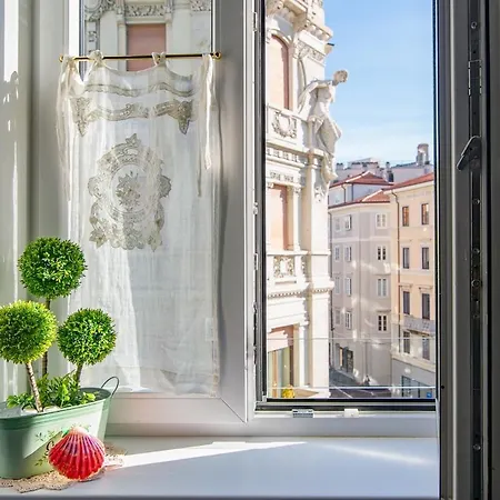 In The Center Of Apartment