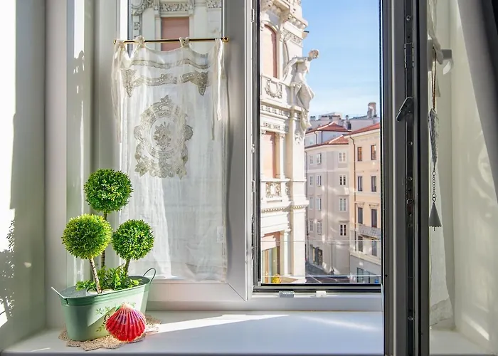 In The Center Of Apartment